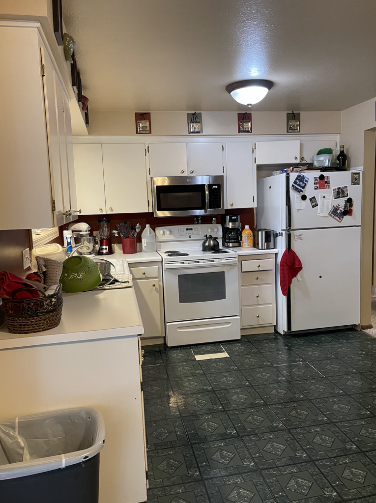 The kitchen & old appliances before the remodel